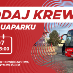 03482402