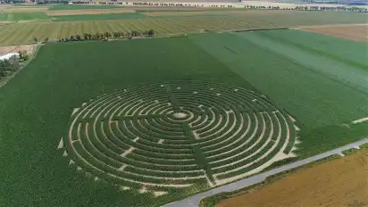 5f32459f7438f_o_mini